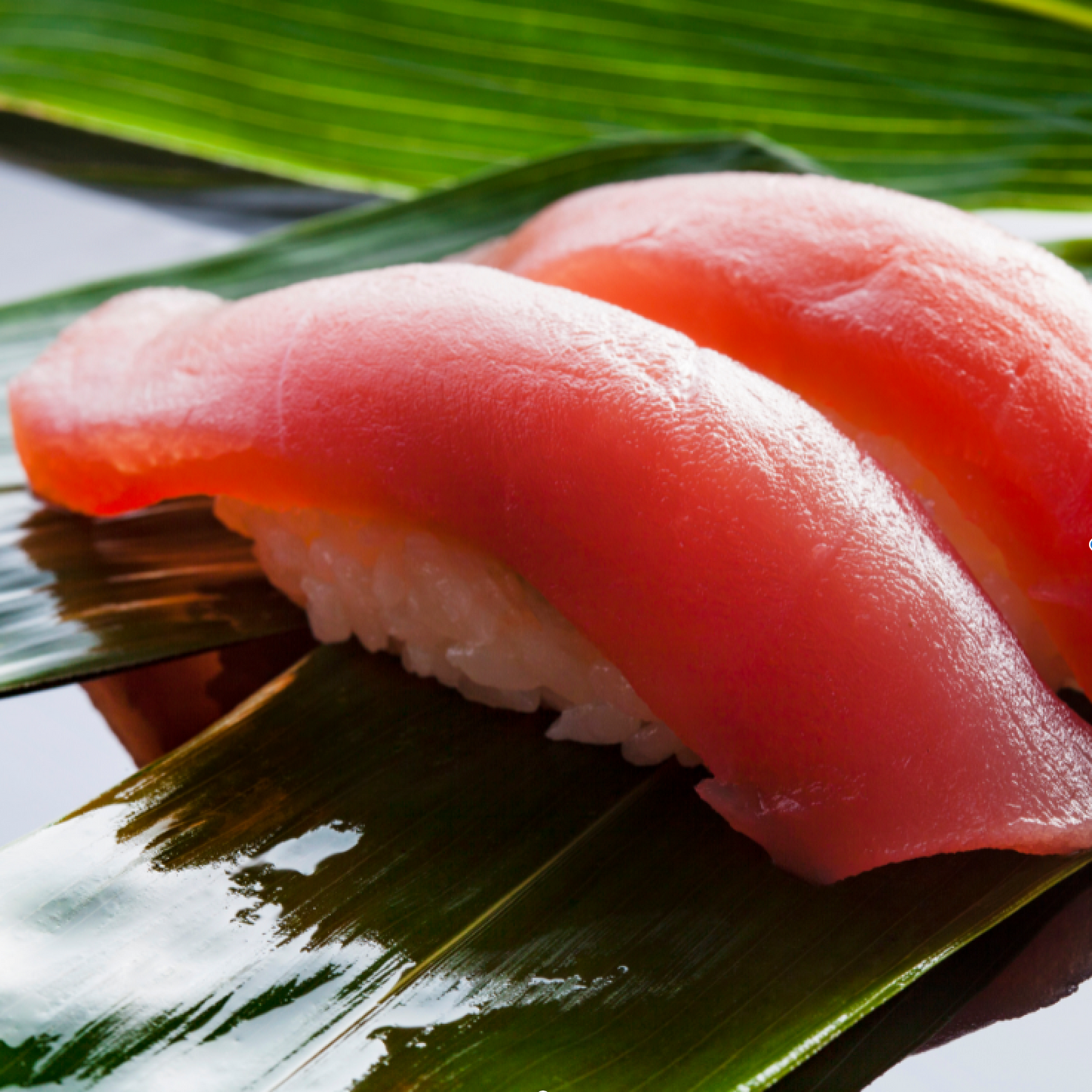 本まぐろ　赤身　300g